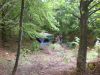 DSCN3666.jpg