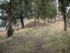 DSCN9633.JPG