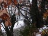 Filename=DSC00003.jpg
Filesize=268KB
Dimensions=1024x768
Date added=Feb 25, 2010 DSC00003.jpg