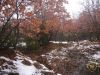 DSC00004.jpg