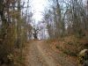 DSCN1936.jpg