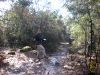 DSCN2365.jpg