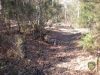 DSCN3527.jpg