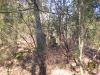 DSCN3528.jpg