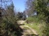 DSCN3539.jpg