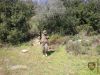 DSCN3545.jpg