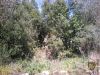DSCN3546.jpg