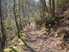 DSCN9767.jpg