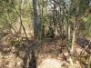 DSCN9771.jpg