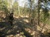 DSCN9772.jpg